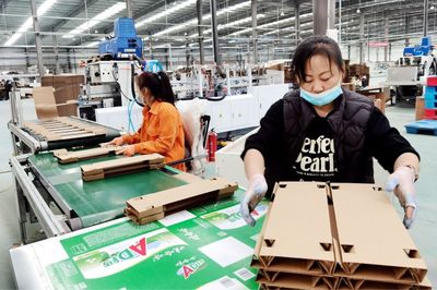 阿荣旗智能环保包装项目试生产，环保技术引领新突破