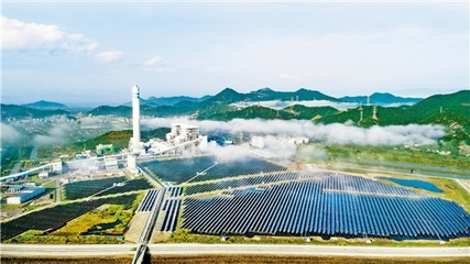 浙江能源主力军的绿色转型之路 环保技术创新助力减碳