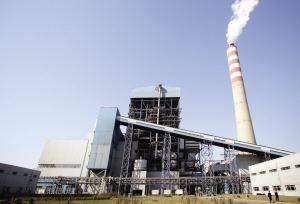 中美科学家联手破解“白色污染”困局，新型环保技术引领绿色未来